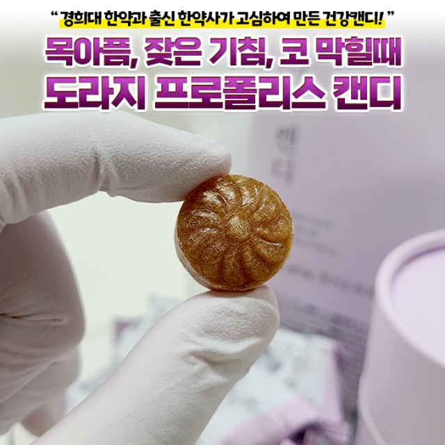 경희대학교 한약사 개발특허 바라기 도라지 프로폴리스캔디_09